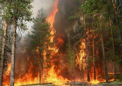 В 5 районах Бурятии введен режим ЧС из-за лесных пожаров