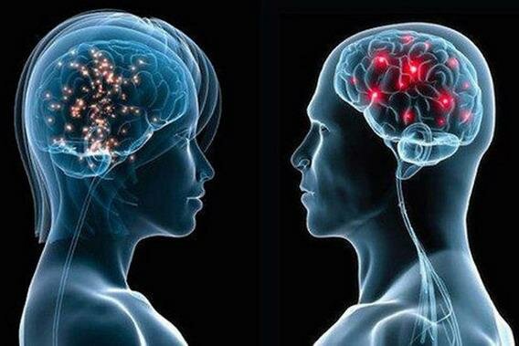 Ученые: Женский мозг работает эффективнее мужского